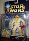 wampa(withhothcave)t.jpg